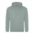 awjh001dugn-l COLLEGE HOODIE