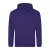 awjh001uvi-xs   COLLEGE HOODIE