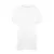 ea002awh-s   DAINTREE ECOVISCOSE TEE