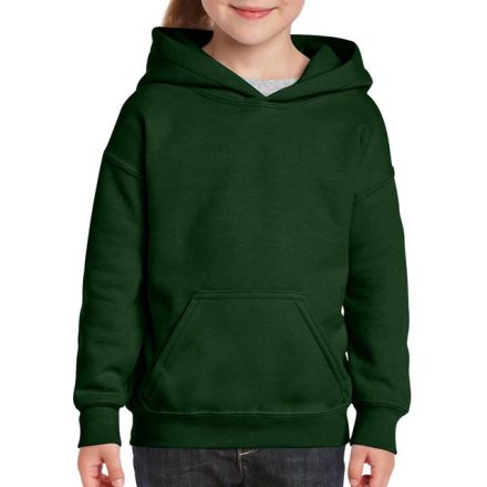 giB18500fo-l   HEAVY BLEND™ YOUTH HOODED SWEATSHIRT