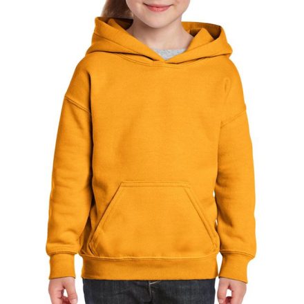 giB18500go-l   HEAVY BLEND™ YOUTH HOODED SWEATSHIRT