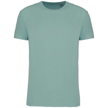 ka3025icsg-3xl   BIO150IC MEN'S ROUND NECK T-SHIRT