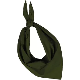 kp064ol-u   FIESTA - BANDANA