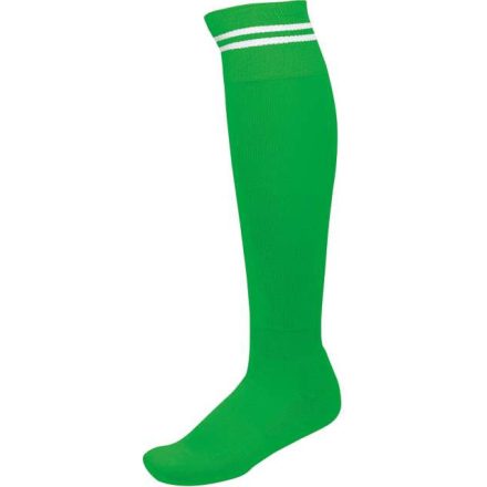 pa015gn/wh-27/30   STRIPED SPORTS SOCKS