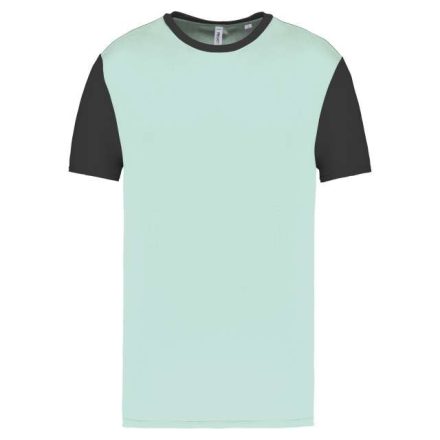 pa4023icm/dg-2xl   ADULTS' BICOLOUR SHORT-SLEEVED T-SHIRT